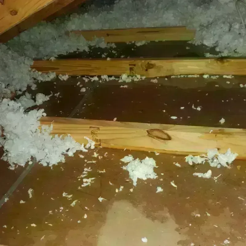 Attic Water Damage in Marysville, OH