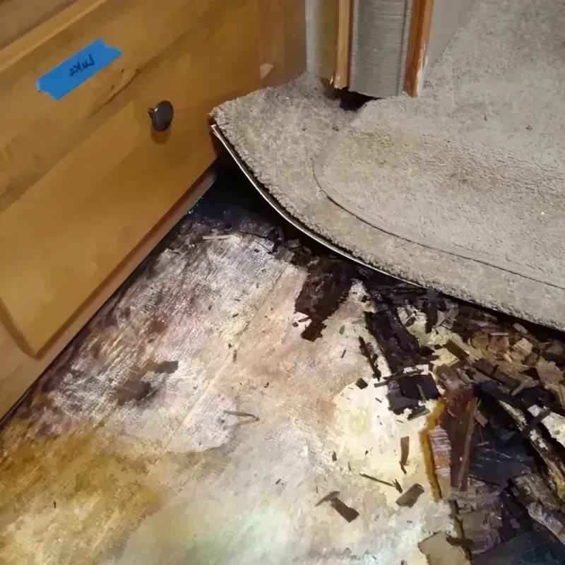 Wood Floor Water Damage in Marysville, OH